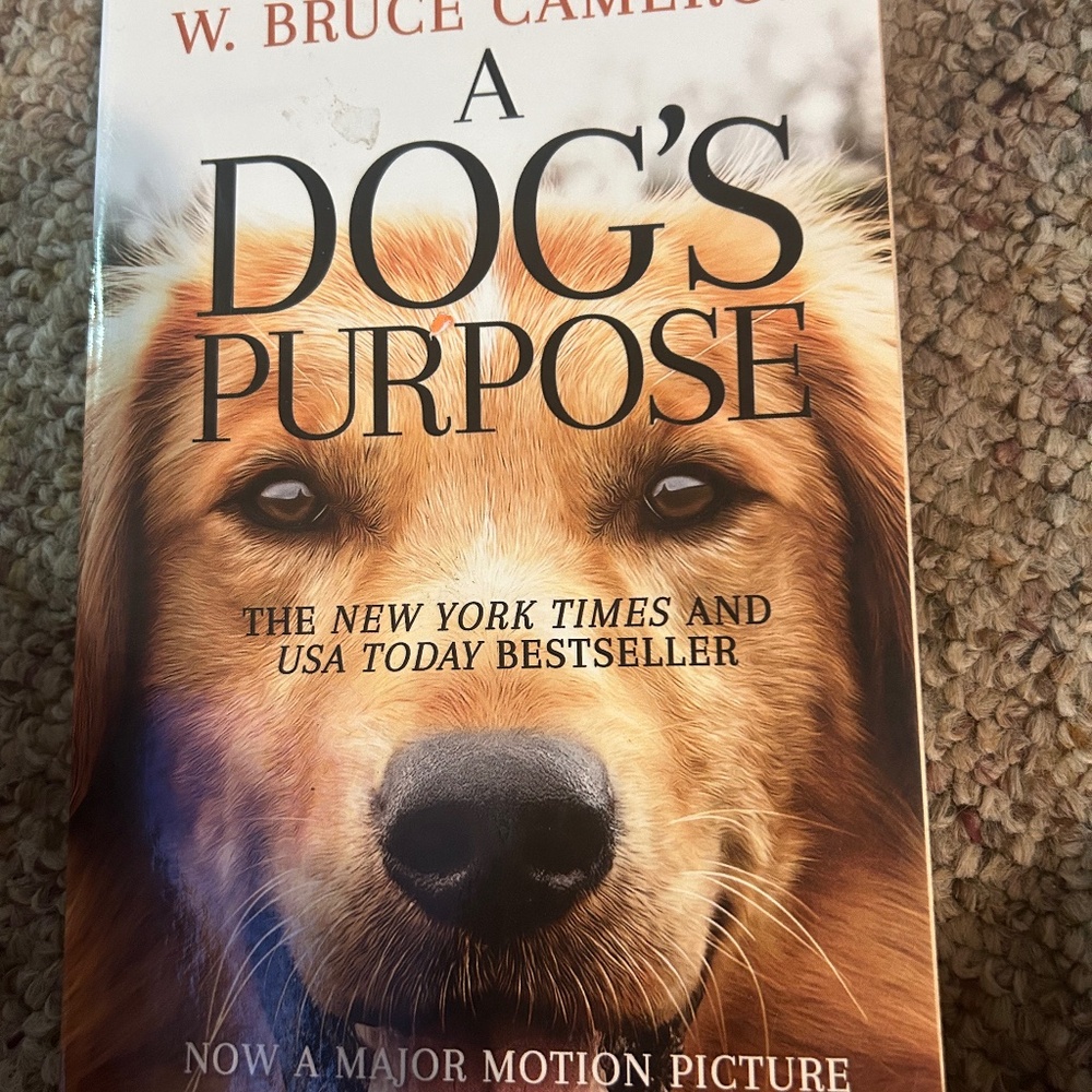 A Dogs Purpose